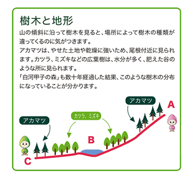 樹木と地形の説明図